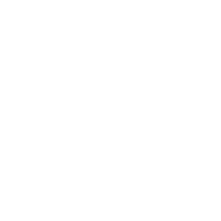 Black Male Voter Project
